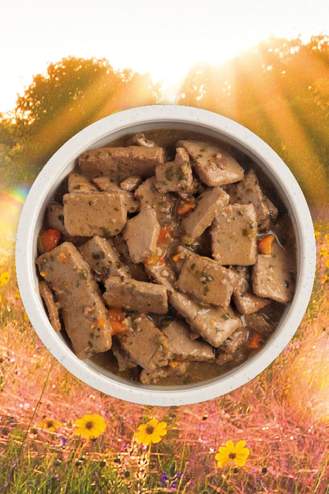 Acana Premium Chunks Beef in Bone Broth Wet Dog Food - Image 3