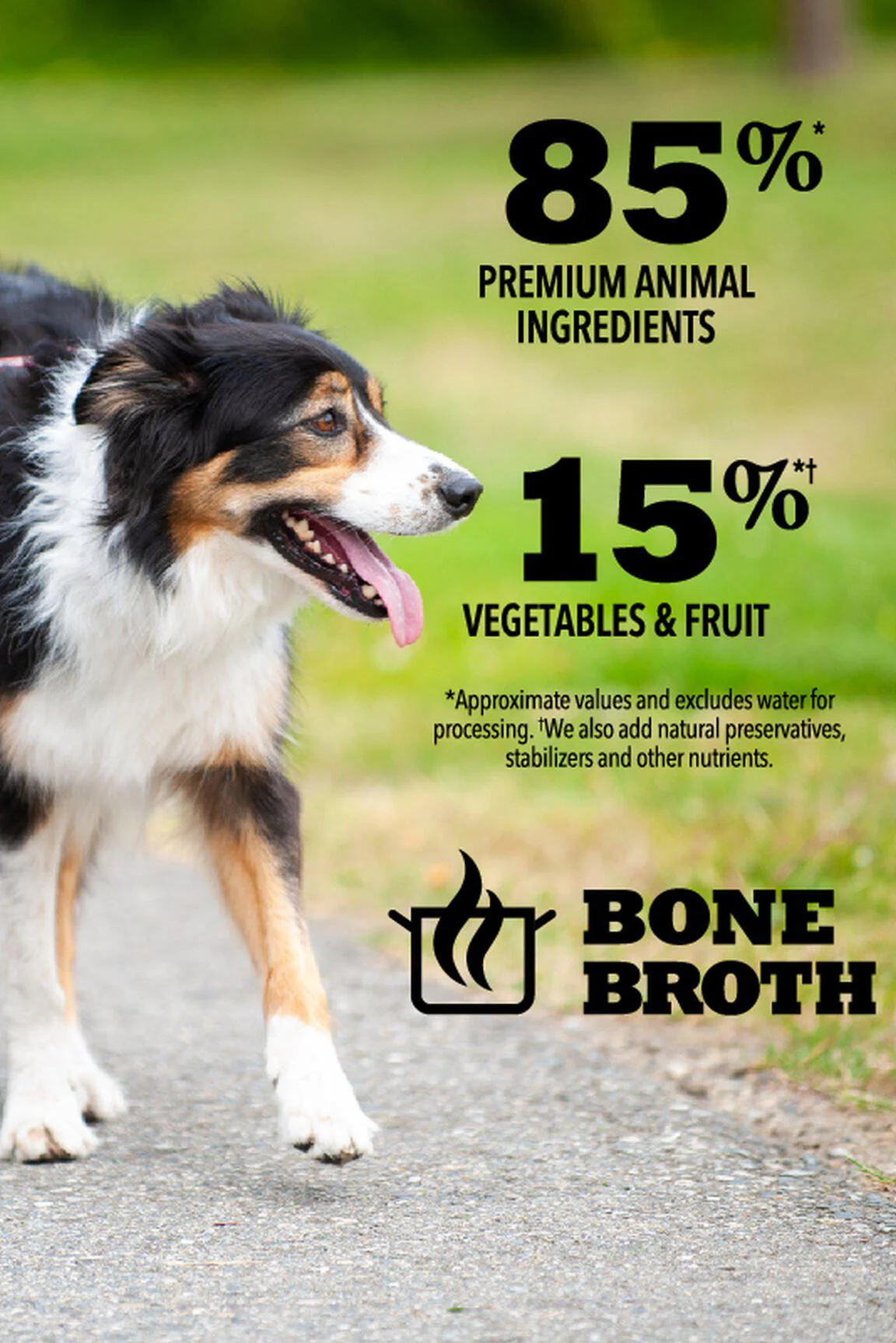 Acana Premium Chunks Beef in Bone Broth Wet Dog Food - Image 5