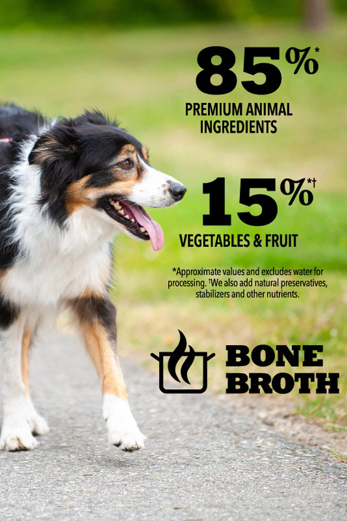 Acana Premium Chunks Poultry in Bone Broth Wet Dog Food - Image 4