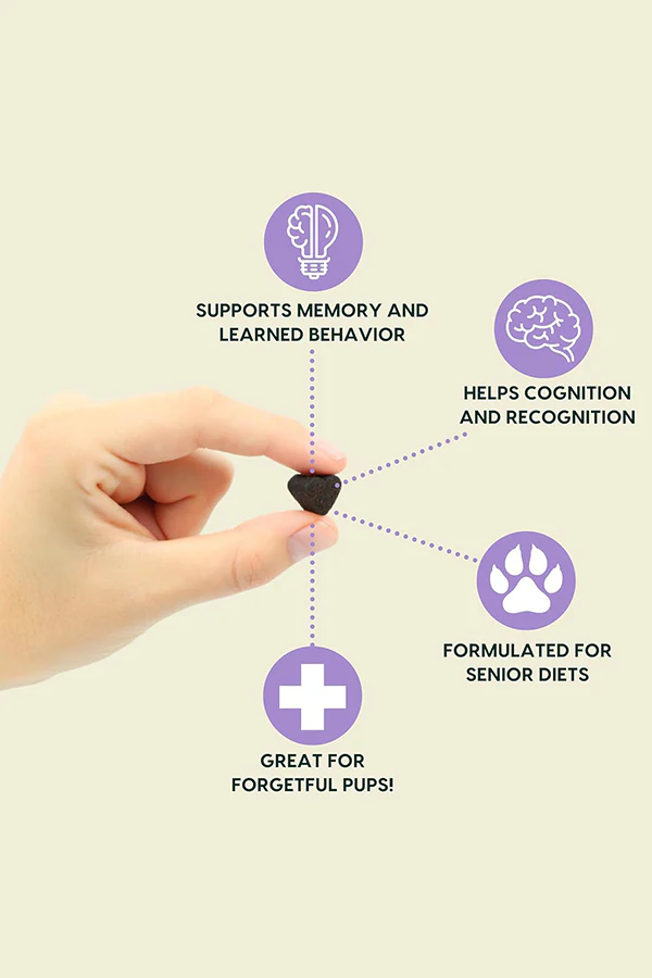 Ark Gray Muzzle Senior Brain Health Soft Chews - Image 3