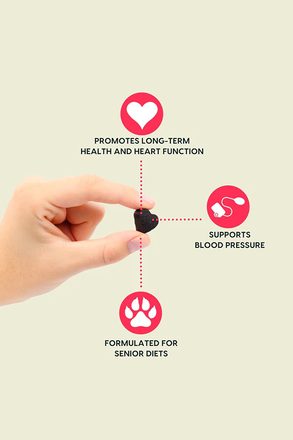 Ark Gray Muzzle Senior Heart Health Soft Chews - Image 3