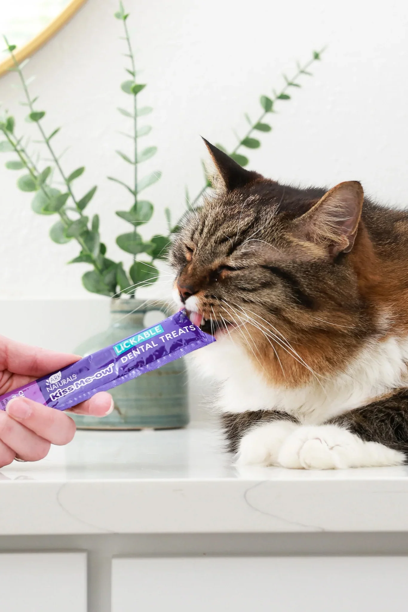Ark Naturals Kiss Me-ow Chicken Lickable Cat Treats - Image 4