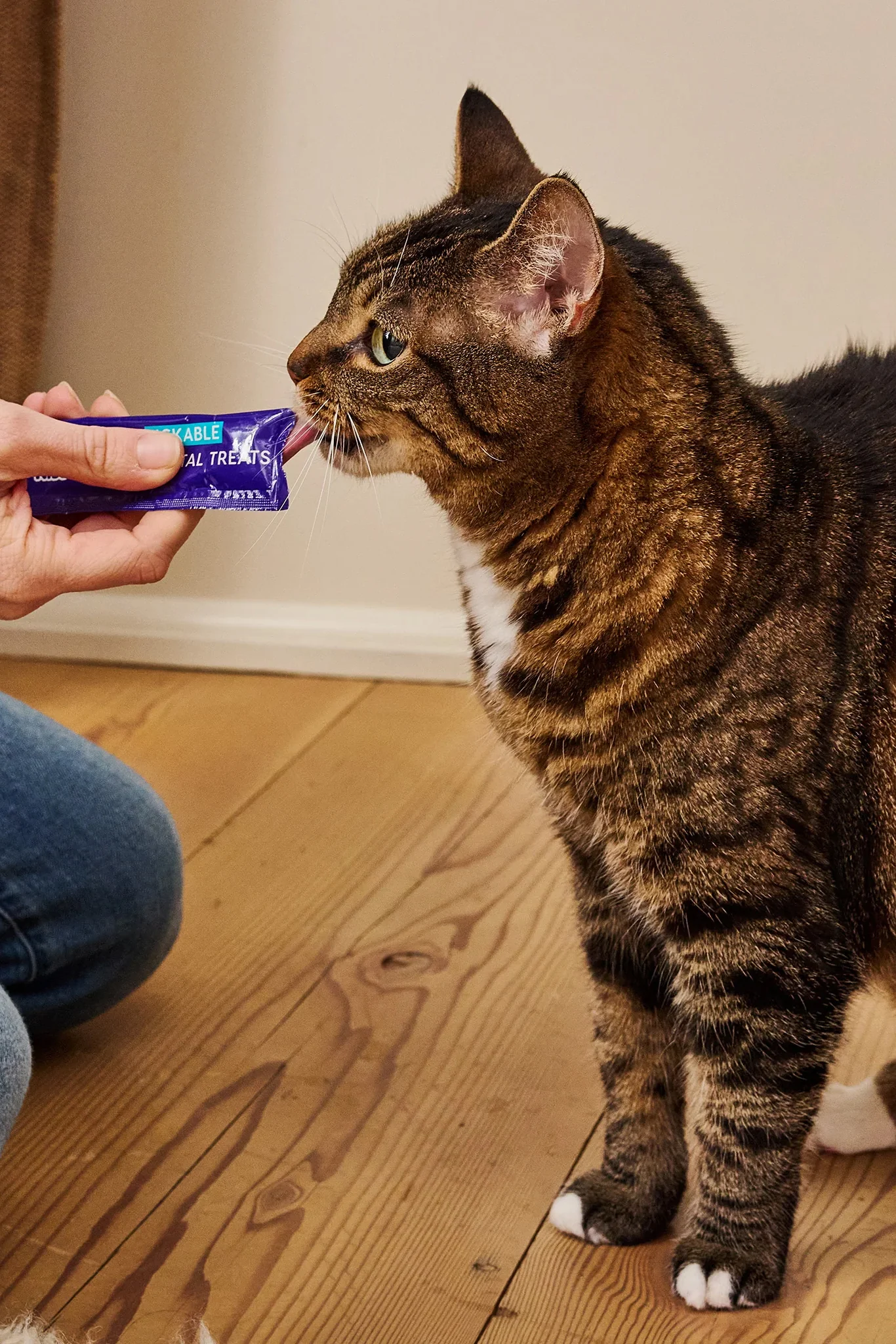 Ark Naturals Kiss Me-ow Tuna Lickable Cat Treats - Image 4