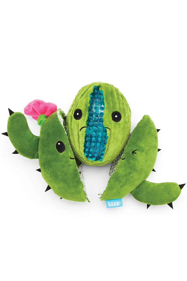 BARK Consuela the Hoppy Cactus Dog Toy - Image 2