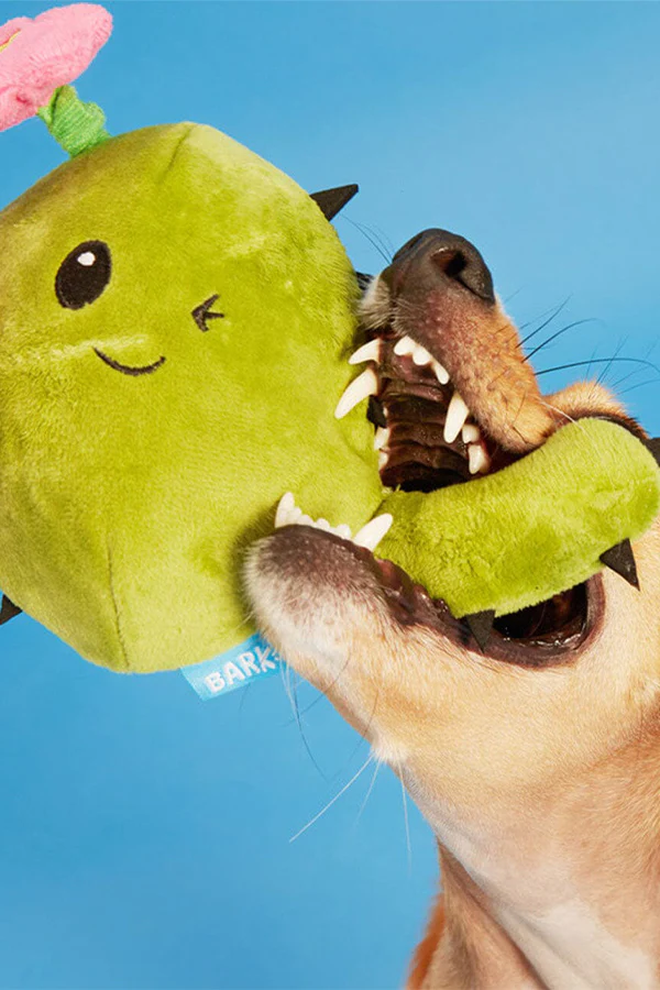 BARK Consuela the Hoppy Cactus Dog Toy - Image 3