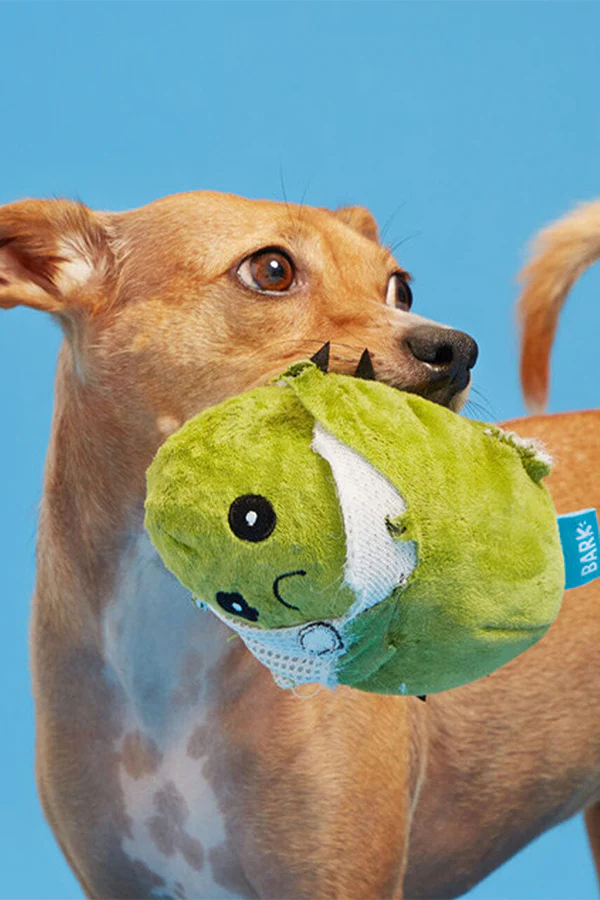BARK Consuela the Hoppy Cactus Dog Toy - Image 4