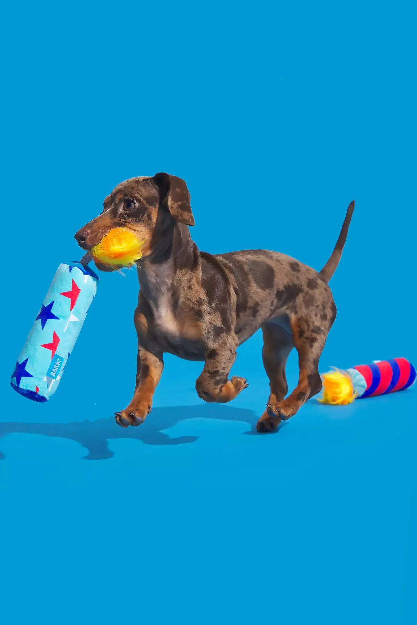 BARK Pup-Pup Fireworks Plush Dog Toy - Image 2
