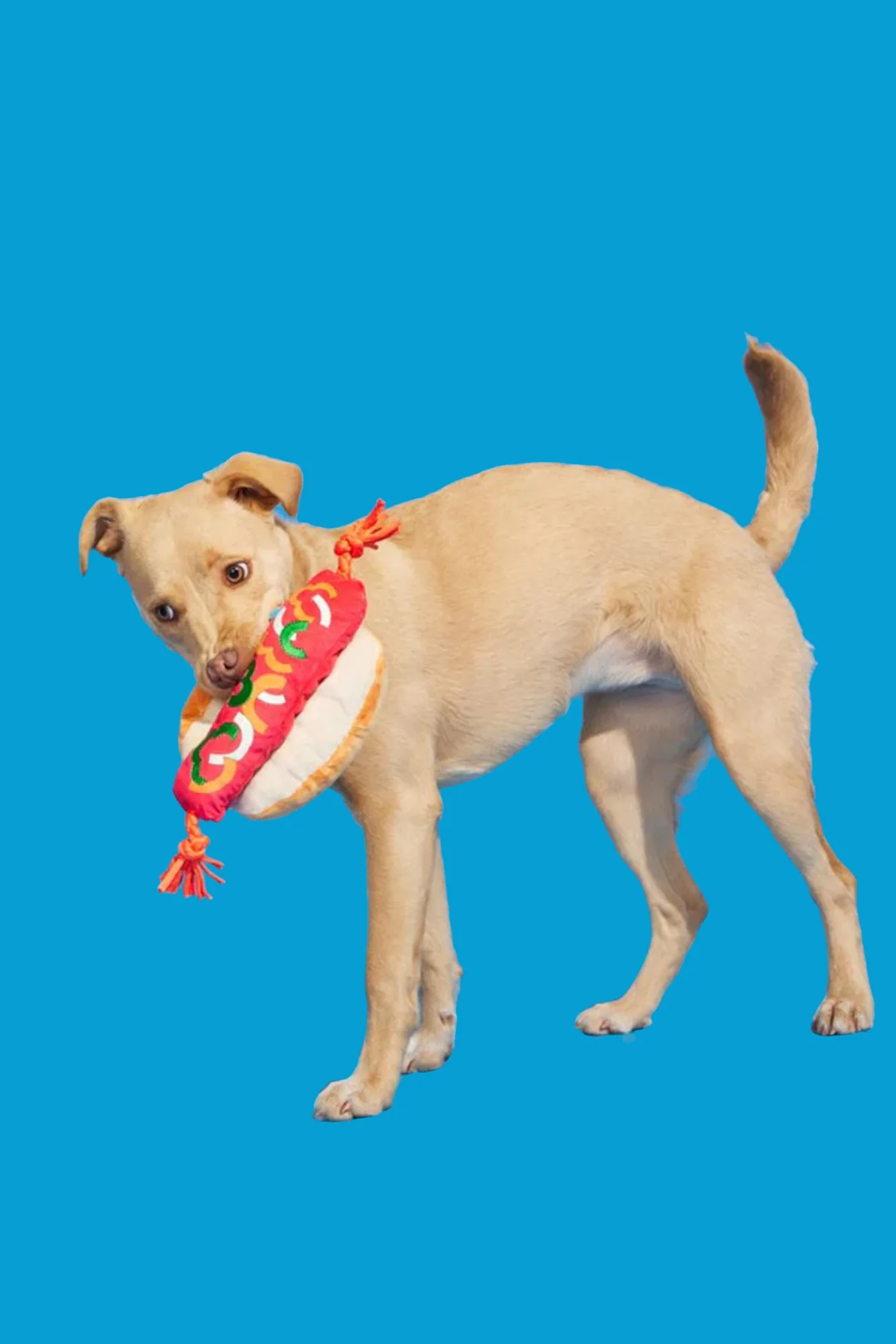 BARK The Everything Dog Plush Dog Toy - Image 3