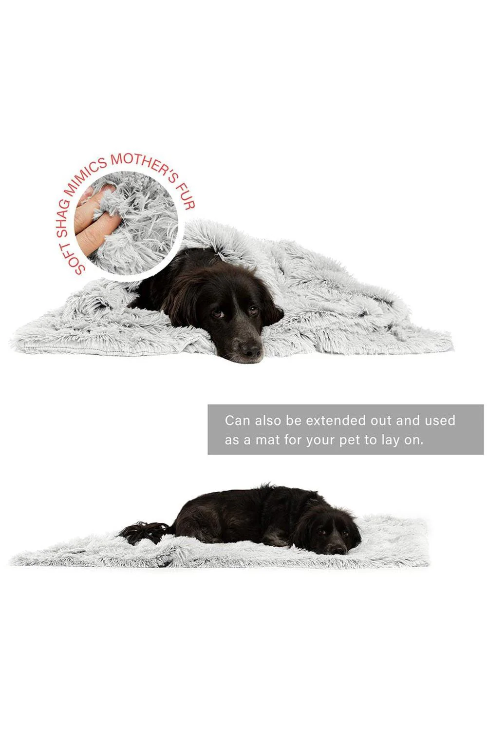 Best Friends Shag Frost Pet Blanket - Image 2