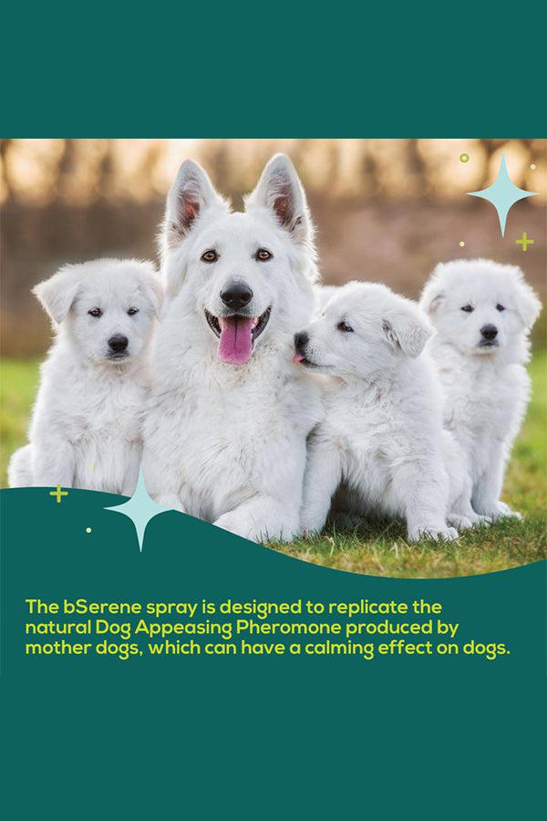 bSerene Calming Pheromone Spray for Dogs - Image 4