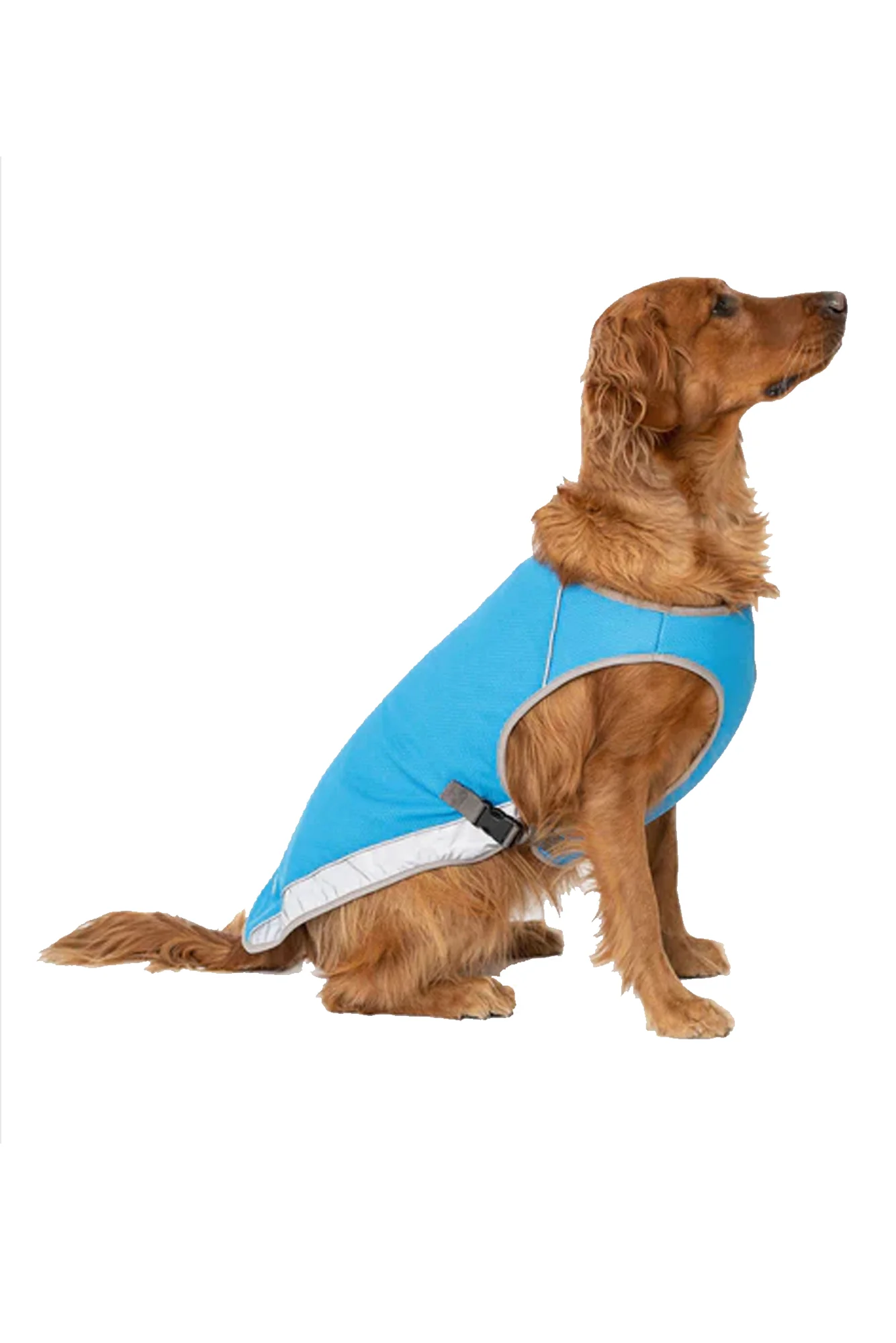 Canada Pooch Blue Cooling Dog Vest - Image 3