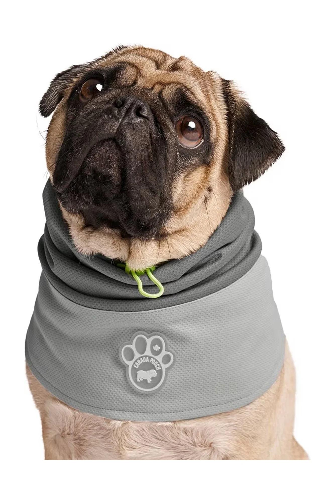 Canada Pooch Grey Max Chill Cooling Snood - Image 2