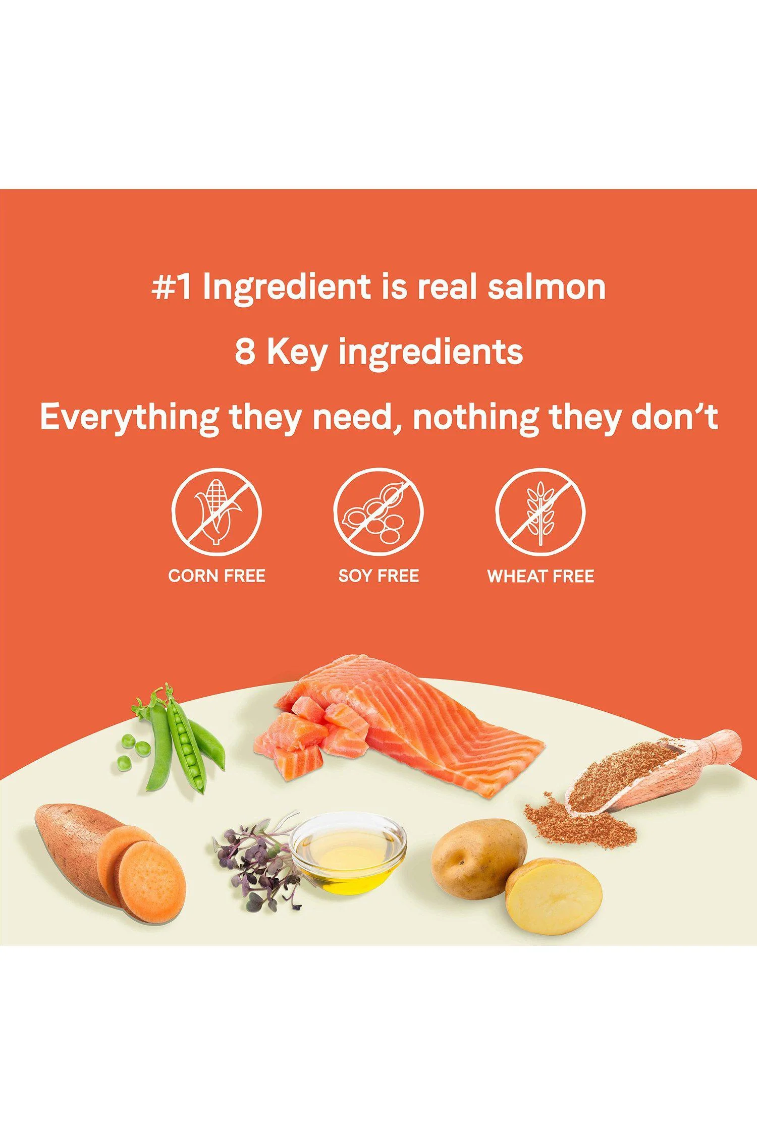 Canidae Pure Wild-Caught Salmon with Sweet Potato - Image 3