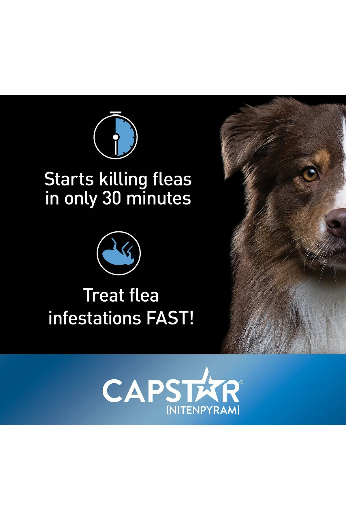Capstar Flea Tablets for Dogs - Image 5