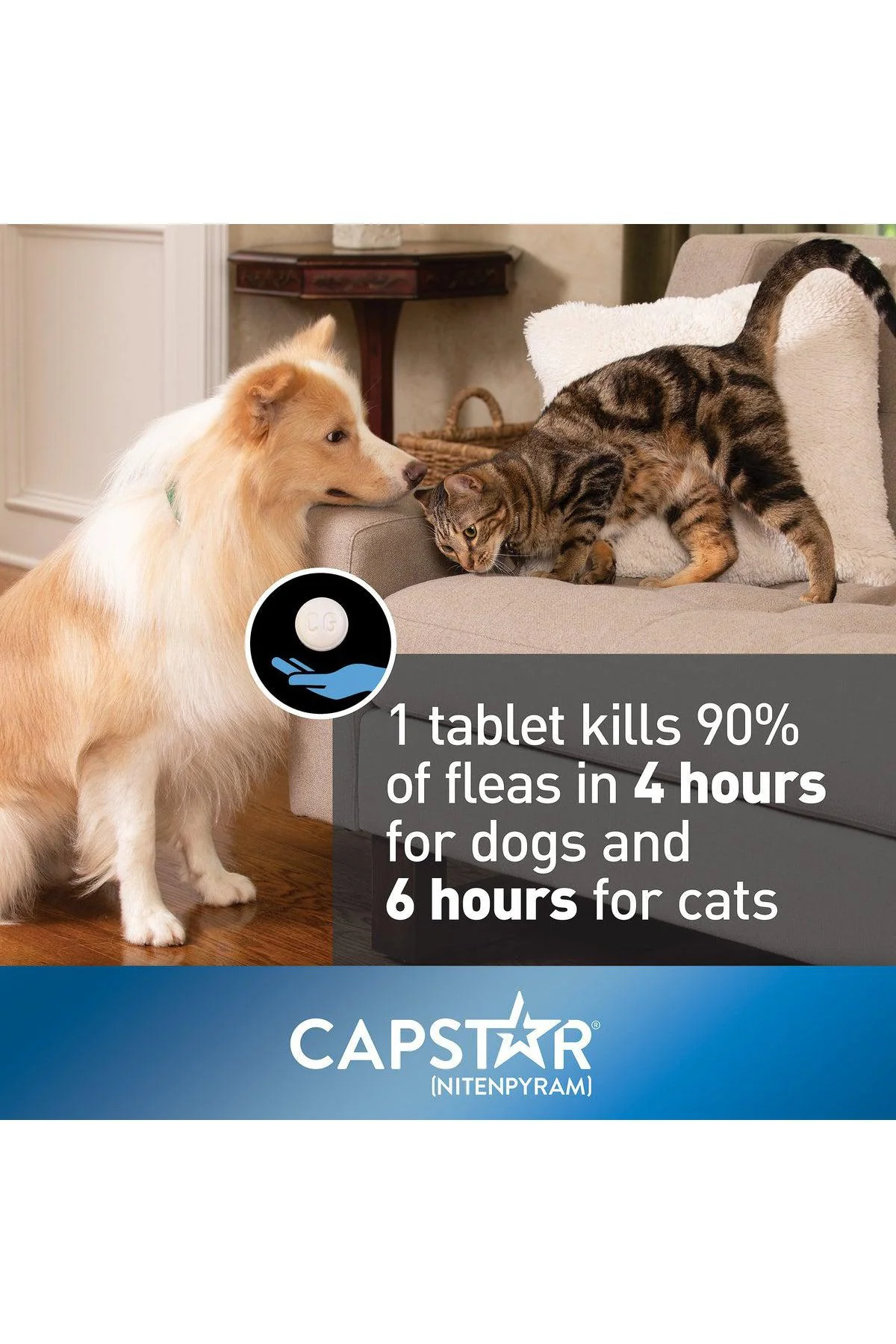 Capstar Flea Tablets for Dogs - Image 6