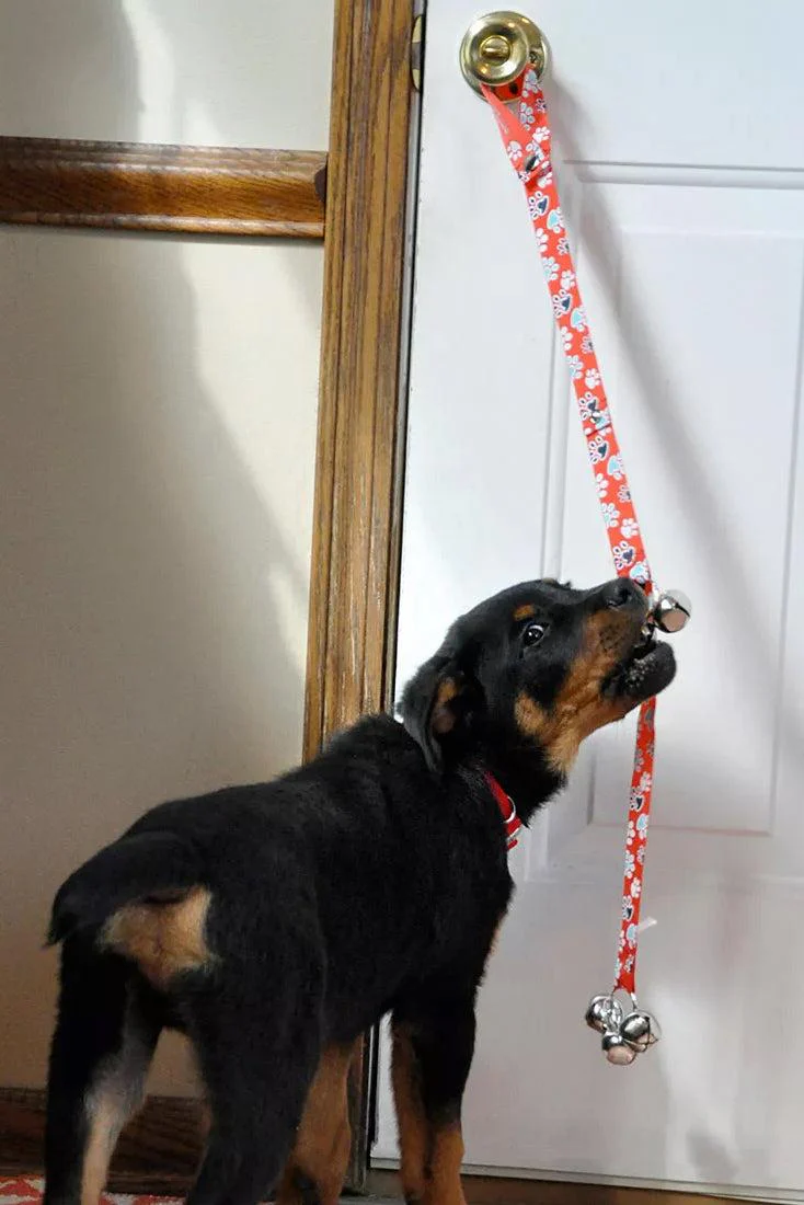 Coastal Pet Advance Potty Training Bells for Dogs - Image 2