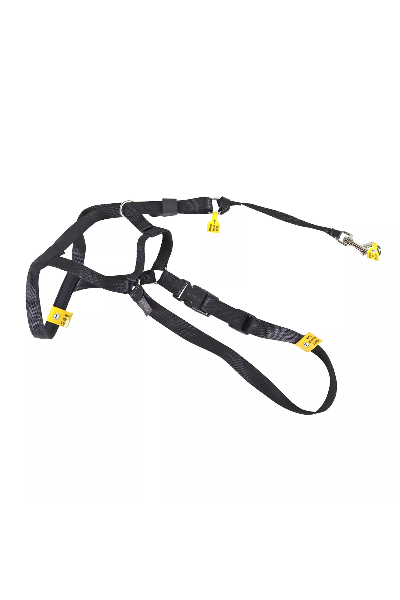 Coastal Walk 'n Train Black Head Halter - Image 2