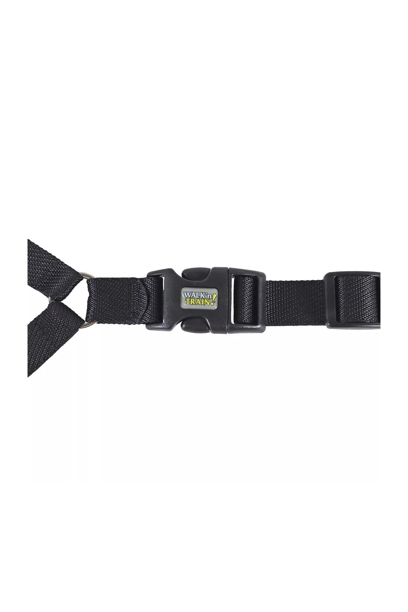 Coastal Walk 'n Train Black Head Halter - Image 3