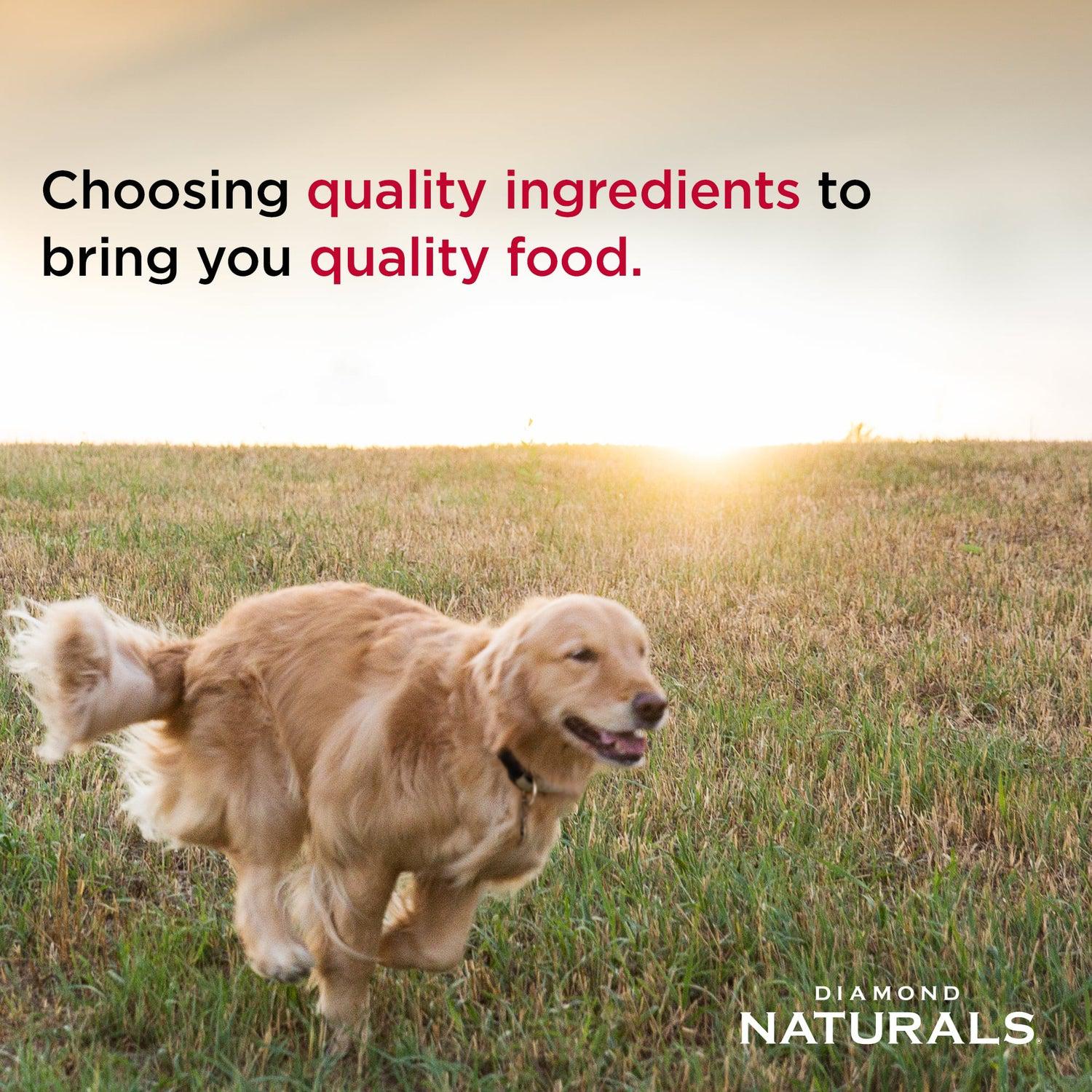 Diamond Naturals Chicken Dinner Wet Dog Food - Image 4