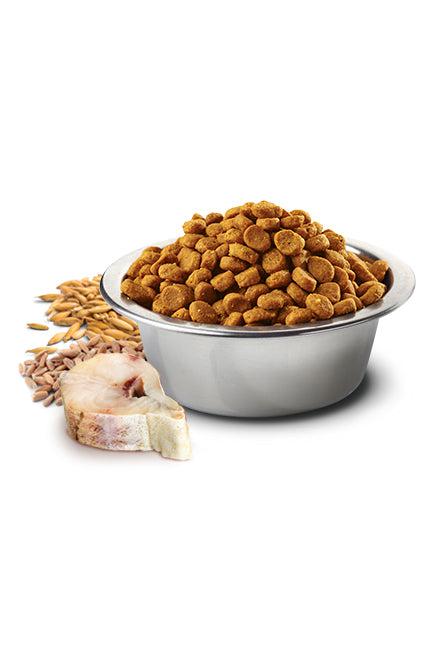 Farmina N&D Ocean Cod, Spelt, Oats, and Orange Med/Maxi Dry Dog Food - Image 3