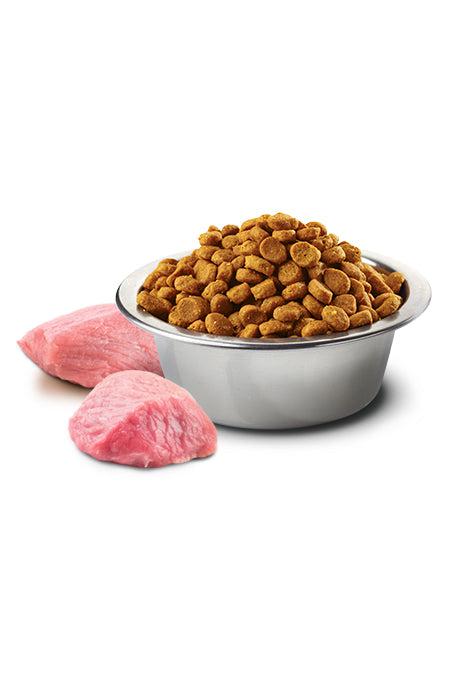 Farmina N&D Pumpkin Boar and Apple Mini Dry Dog Food - Image 2