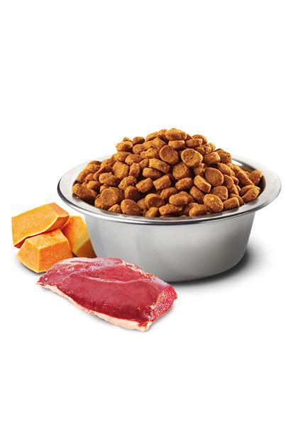 Farmina N&D Pumpkin Duck and Cantaloupe Med/Maxi Dry Dog Food - Image 2