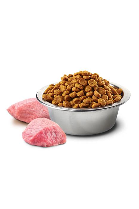Farmina N&D Pumpkin Lamb and Blueberry Med/Maxi Dry Dog Food - Image 2