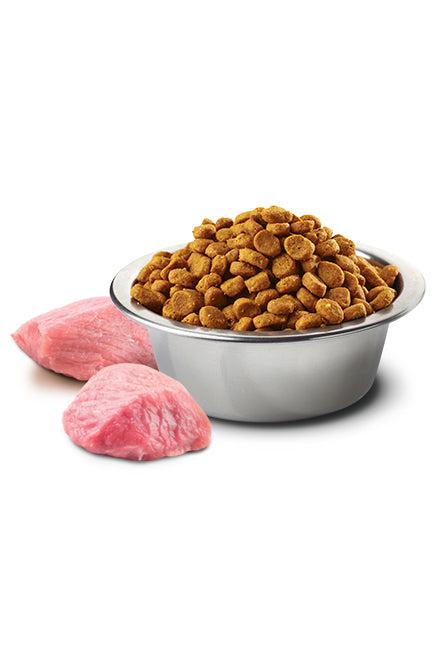 Farmina N&D Pumpkin Lamb and Blueberry Mini Dry Dog Food - Image 2