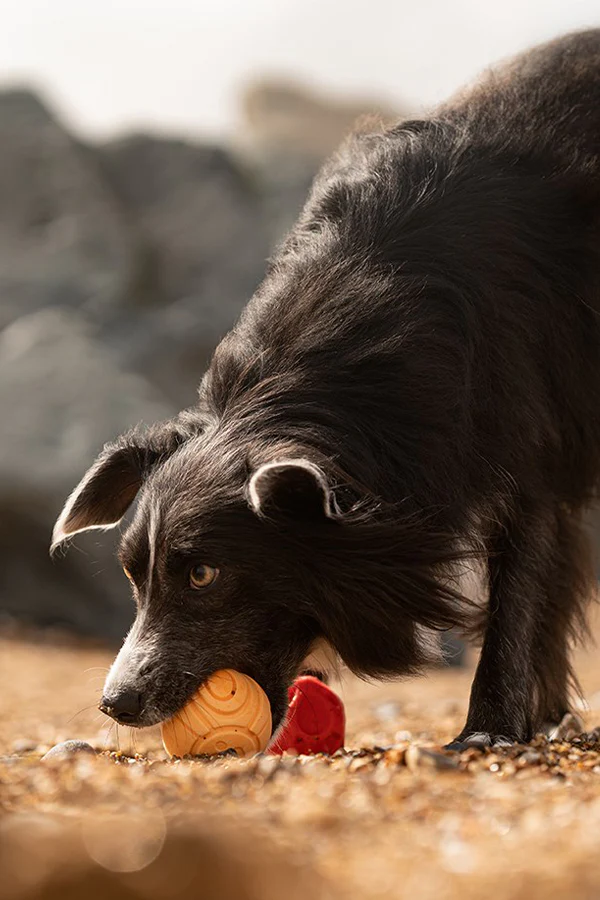 Frubba Balls Dog Toy - Image 4