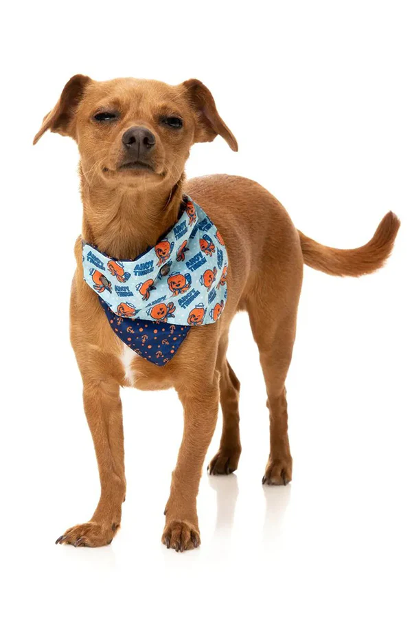 FuzzYard 'Ahoy There' Dog Bandana - Image 3