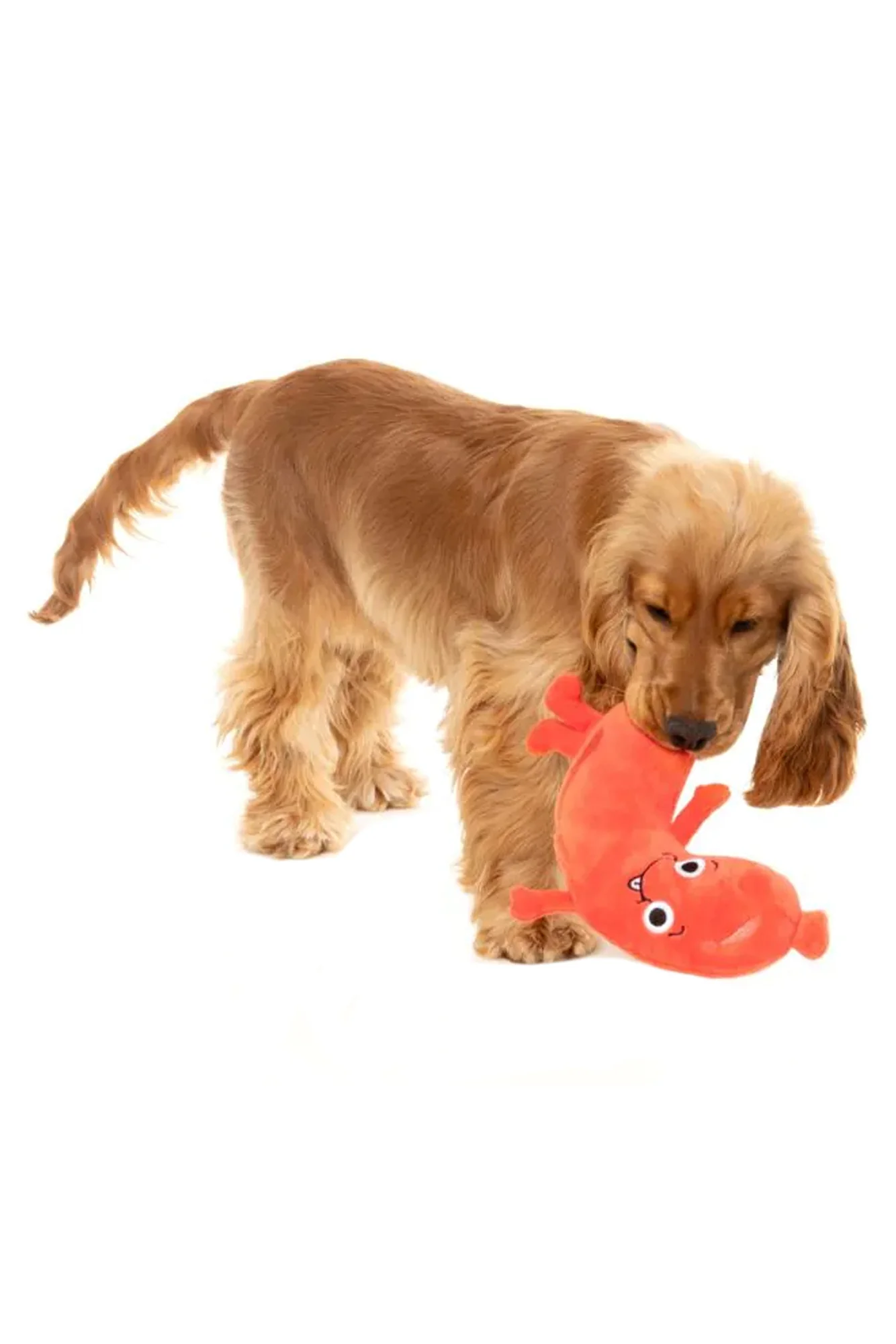 FuzzYard Brad-Wurst Plush Dog Toy - Image 3