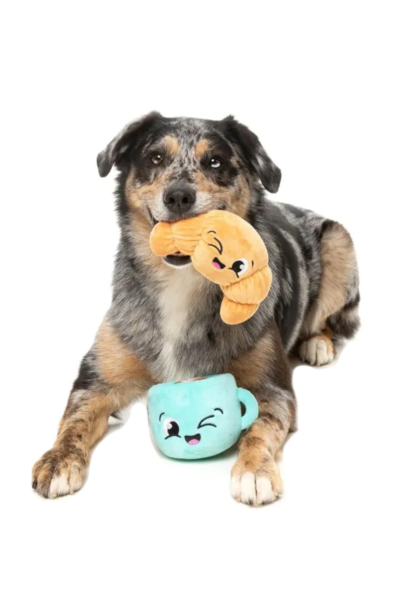 FuzzYard Croissant and Cappuccino Plush Dog Toy - Image 2
