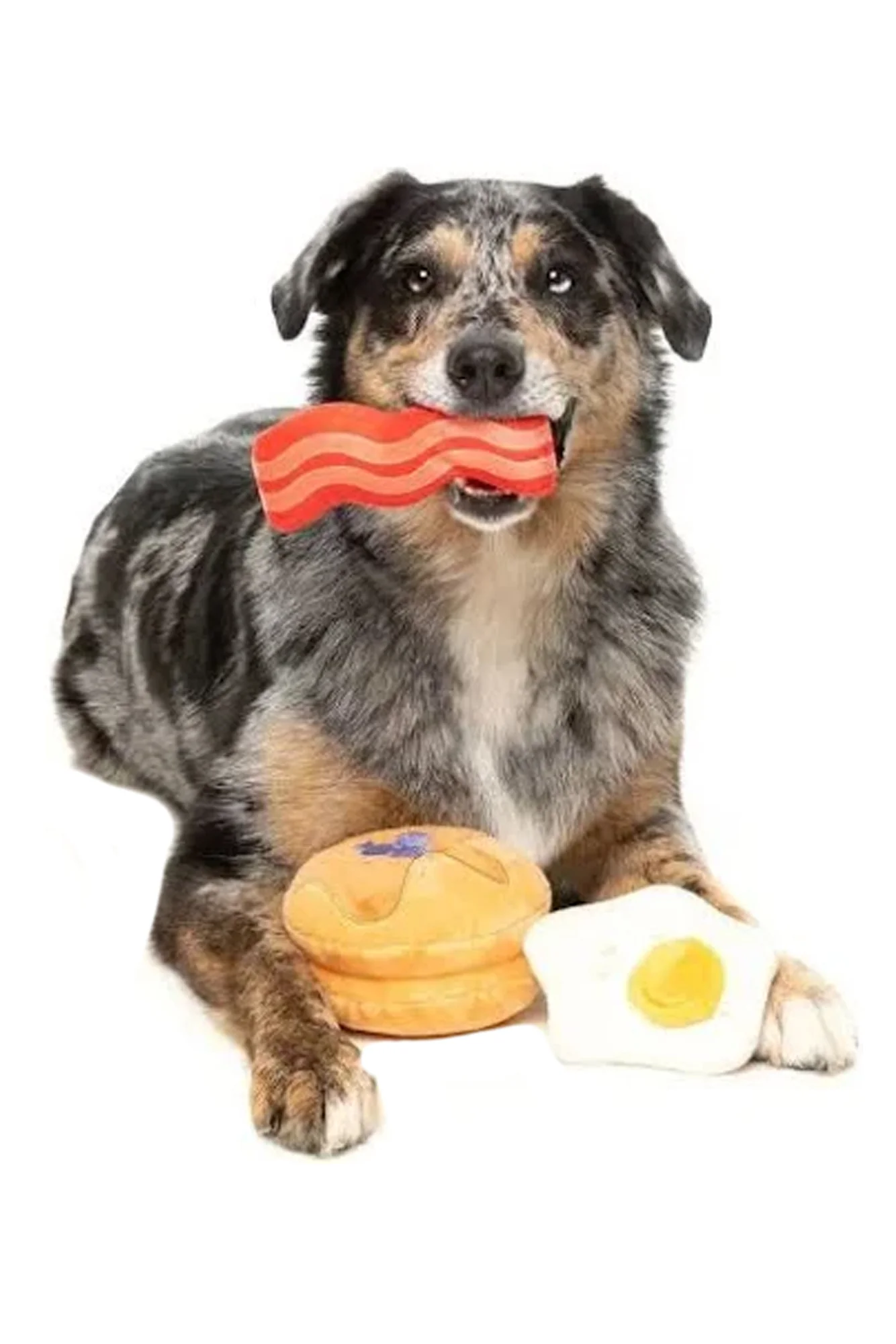 FuzzYard Dog's Breakfast Plush Dog Toy - Image 2