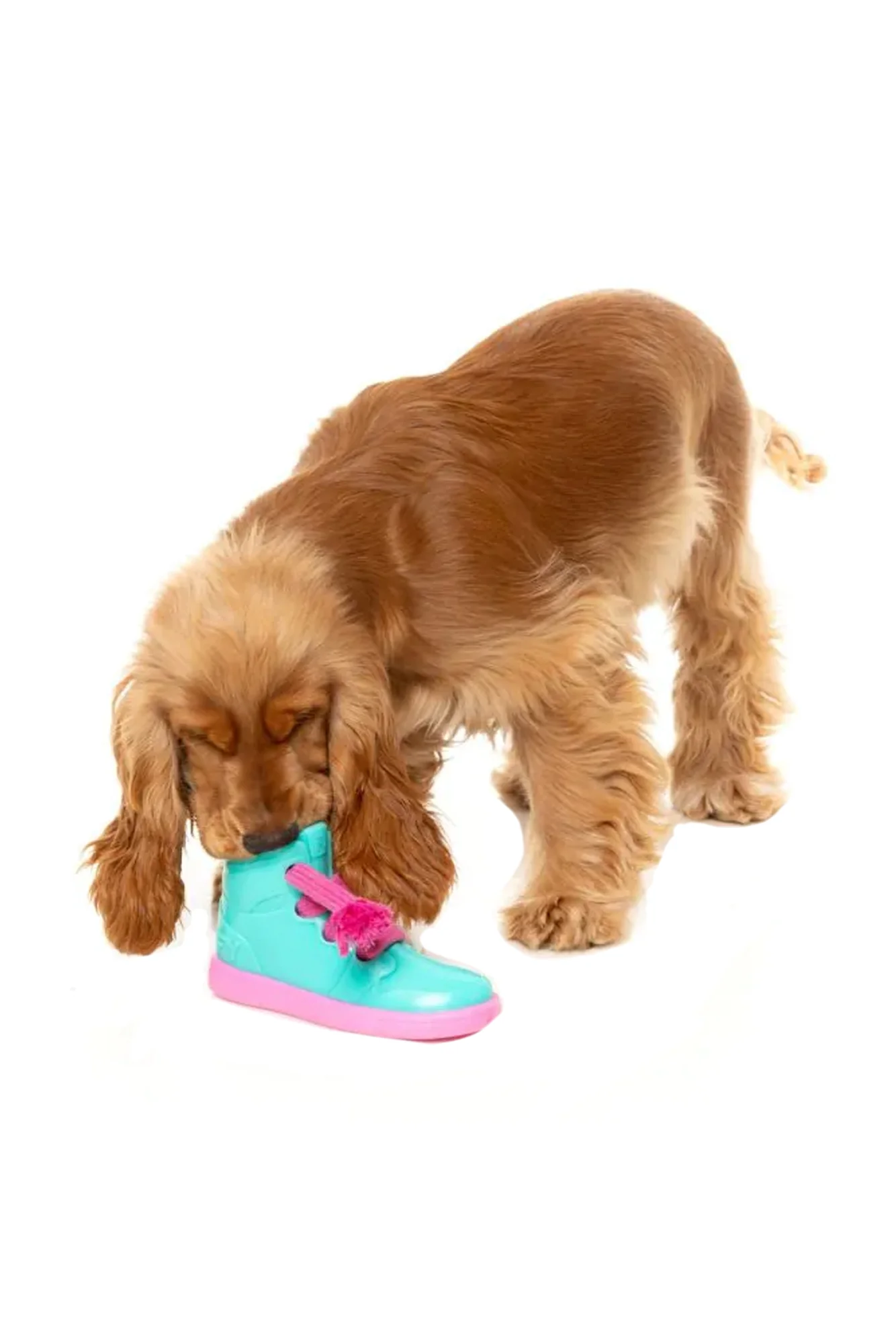 FuzzYard Fresh Kicks N' Licks Dog Toy - Image 3