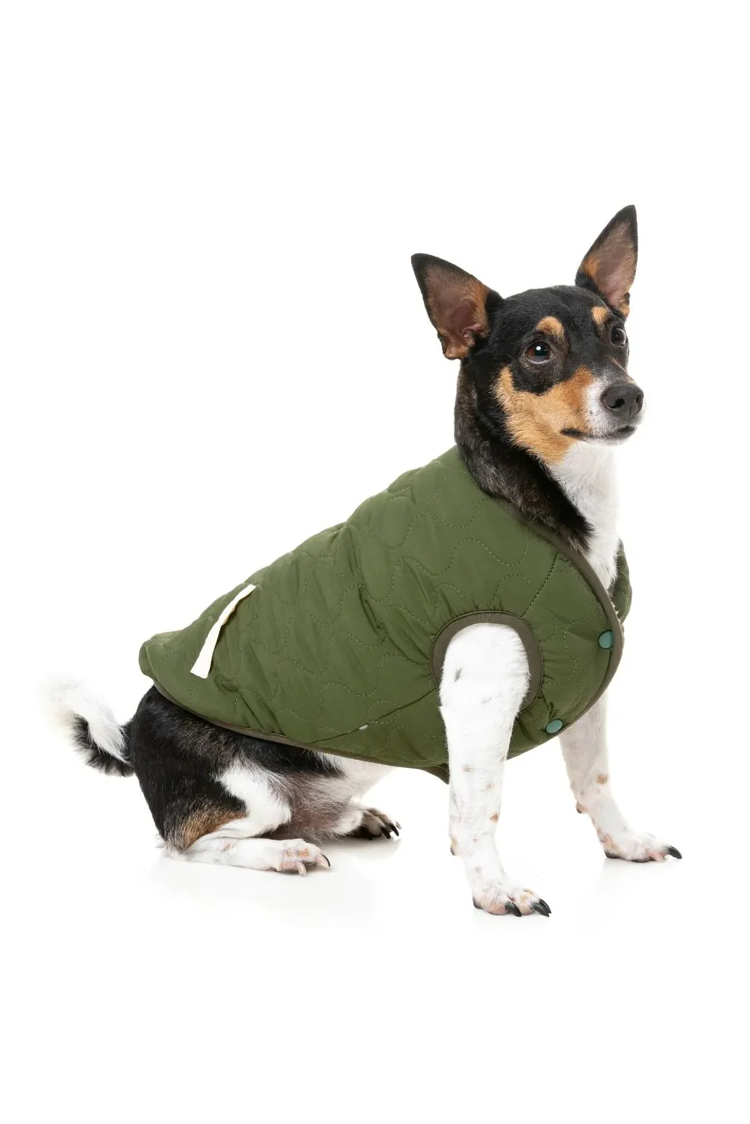 FuzzYard Beige Nara Dog Jacket - Image 3