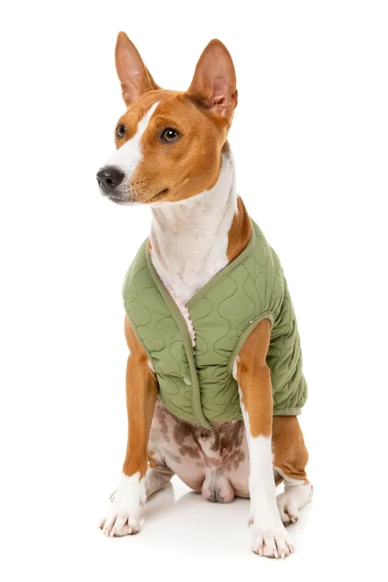 FuzzYard Pink Nara Dog Jacket - Image 5