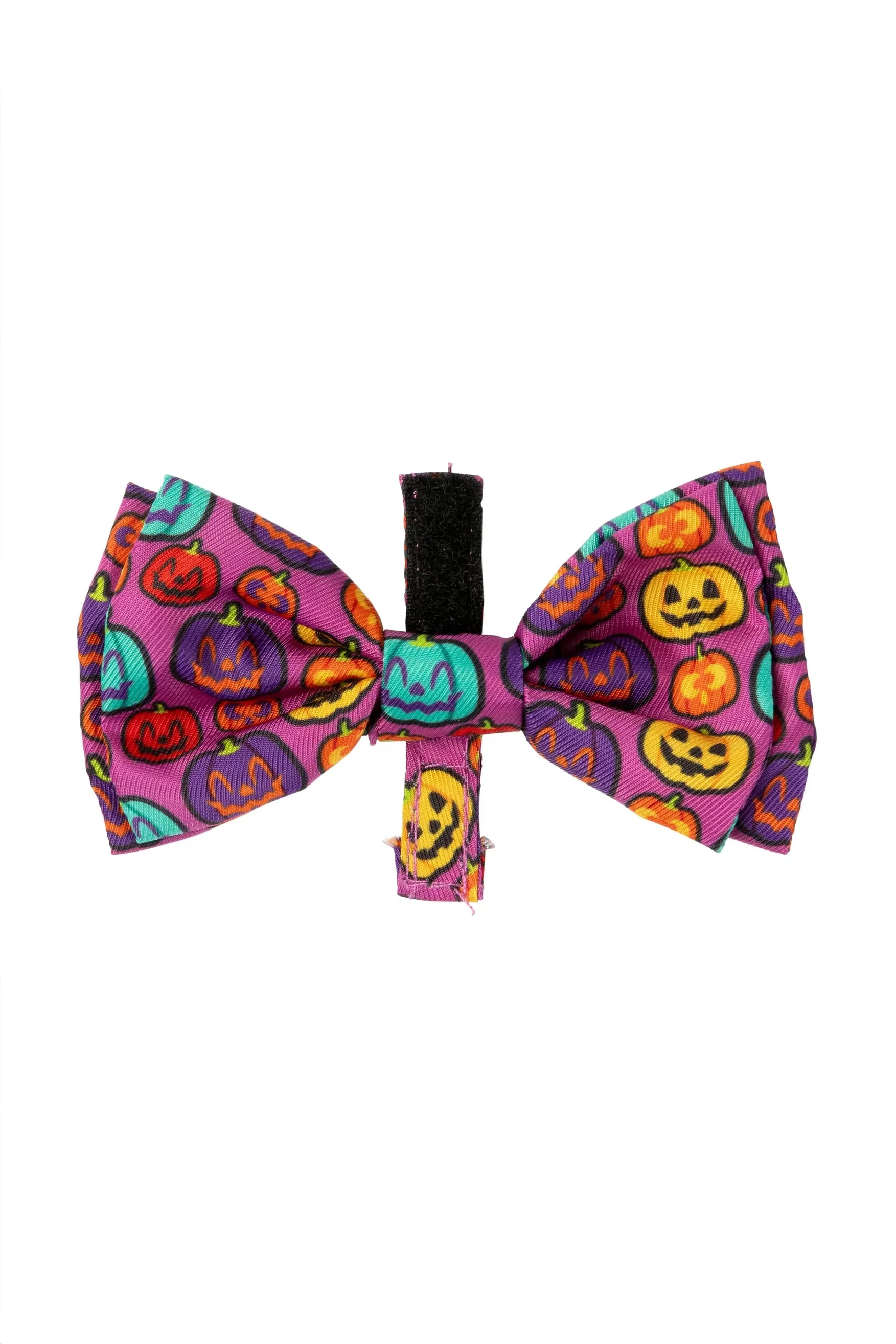 Fuzzyard Oh My Gourd Halloween Bandana Collar Set - Image 3