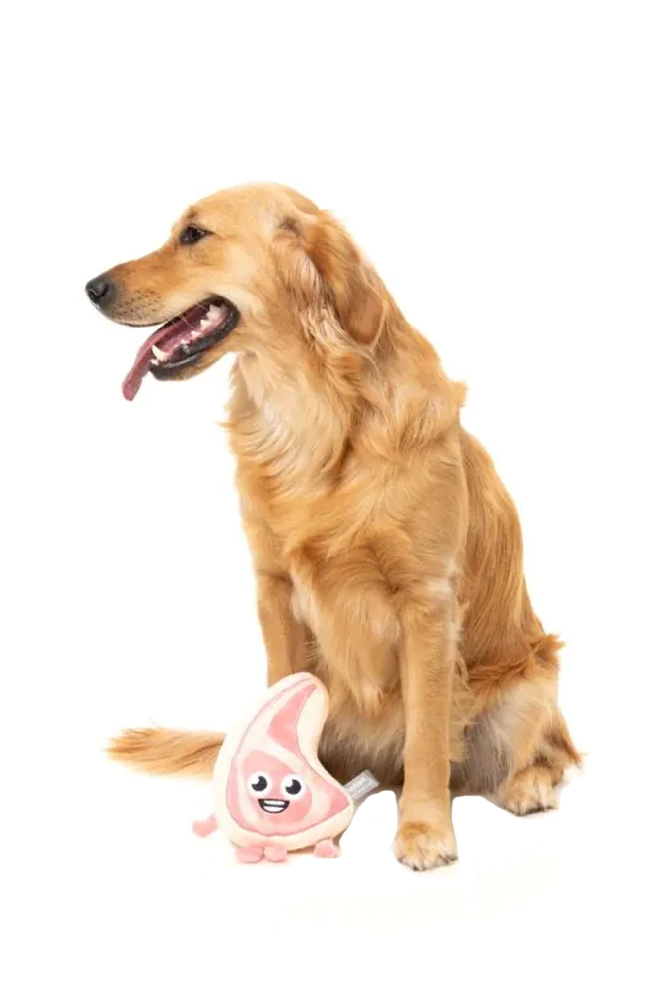 FuzzYard Piggy Smalls Plush Dog Toy - Image 3