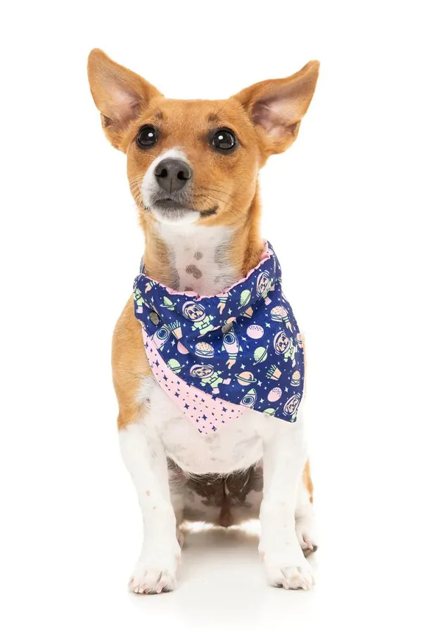 FuzzYard 'Pluto Pup' Dog Bandana - Image 3