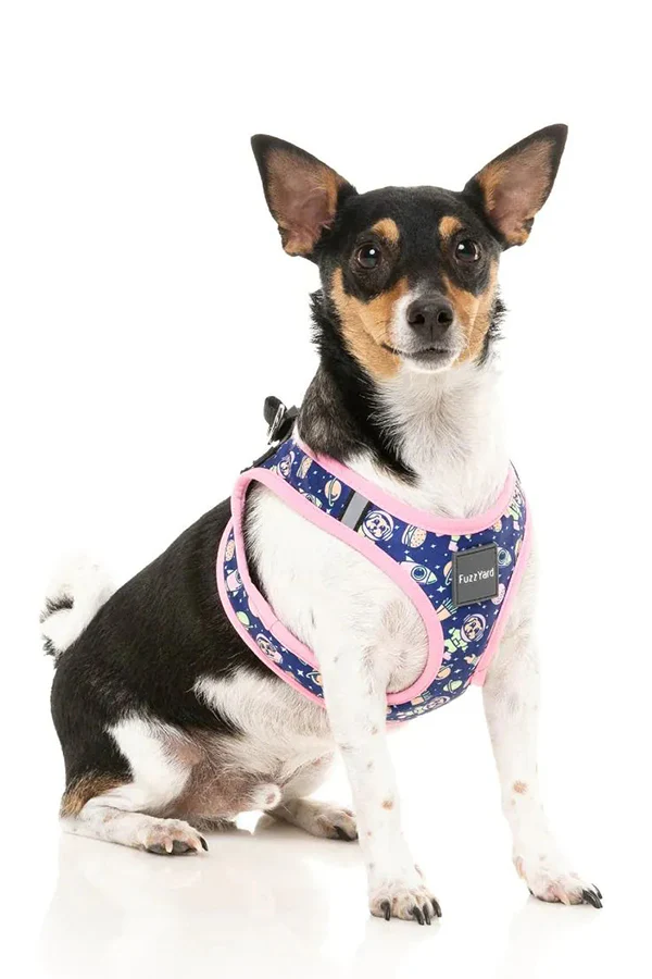 FuzzYard Pluto Pup Step in Dog Harness - Image 3