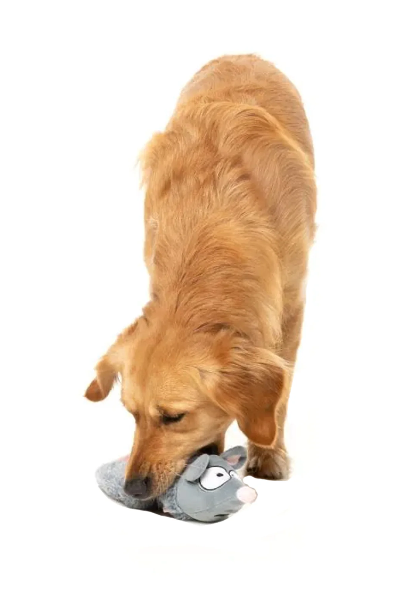 FuzzYard Rack Off Rat Plush Dog Toy - Image 3