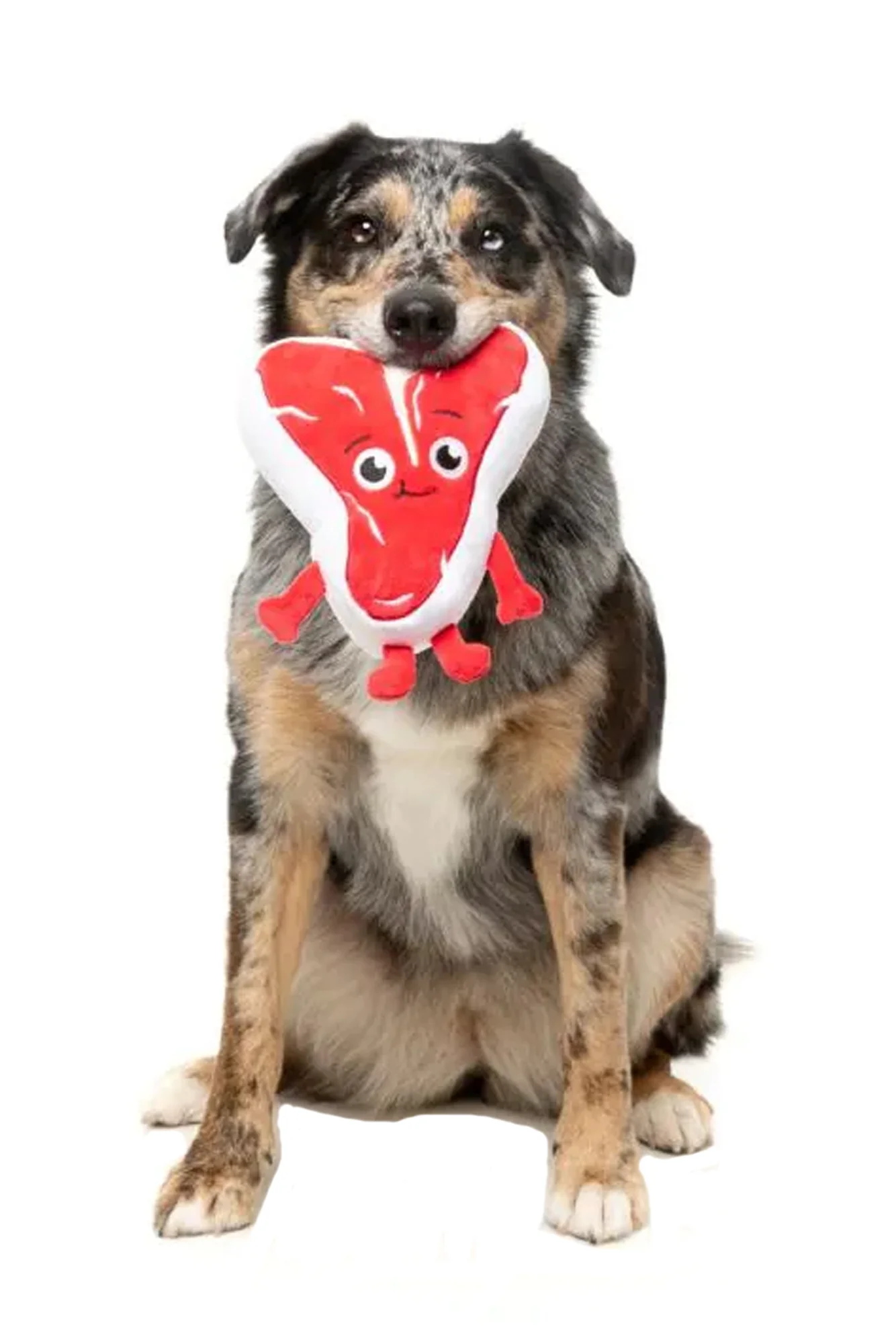 FuzzYard Tim Tee-Bowne Plush Dog Toy - Image 3
