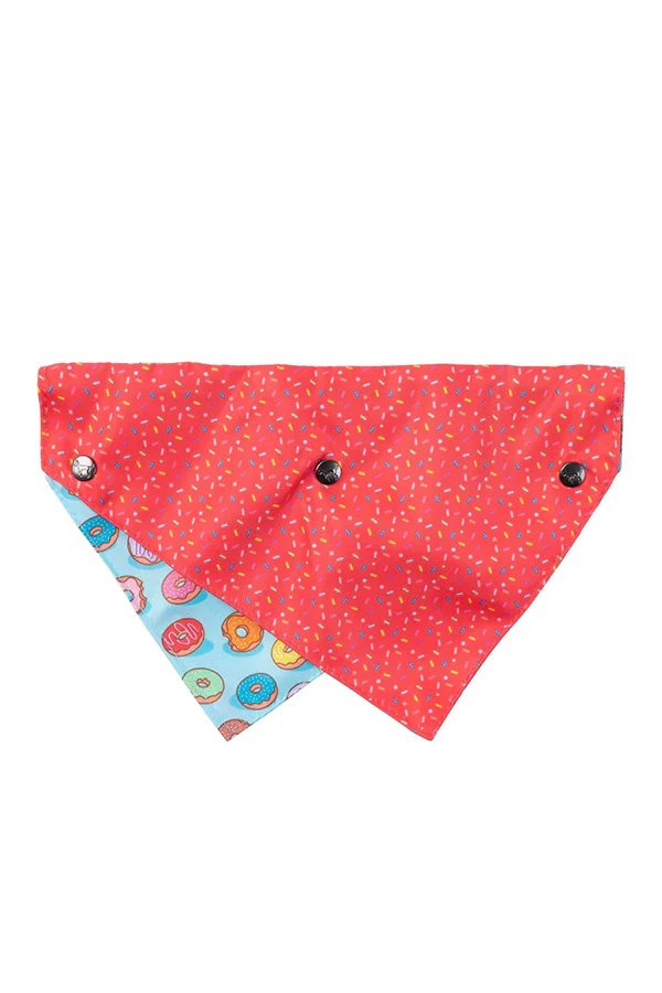 FuzzYard 'You Drive Me Glazy' Dog Bandana - Image 2