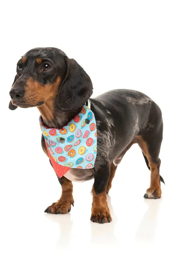FuzzYard 'You Drive Me Glazy' Dog Bandana - Image 3