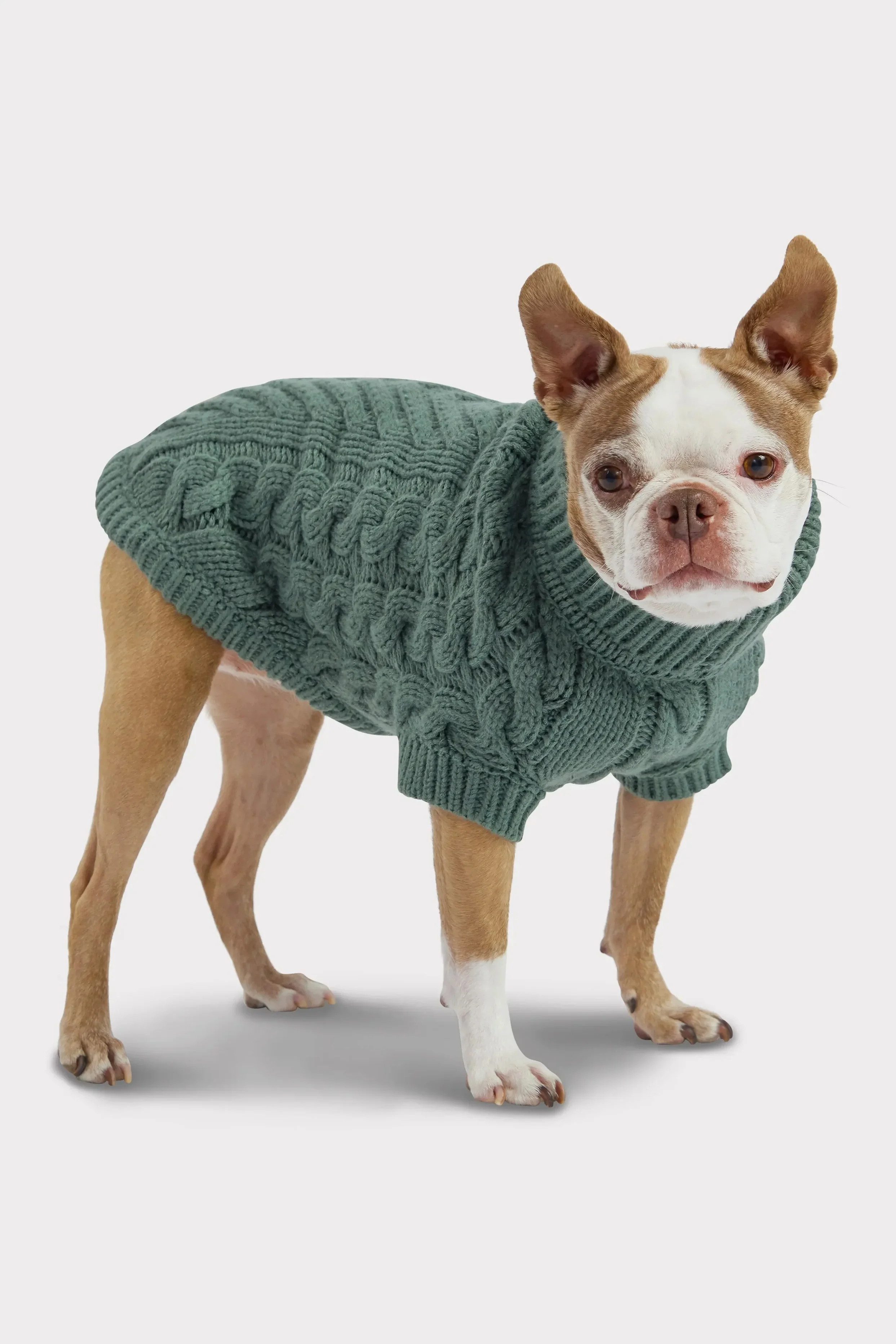 GF Pet Chalet Green Dog Sweater - Image 3