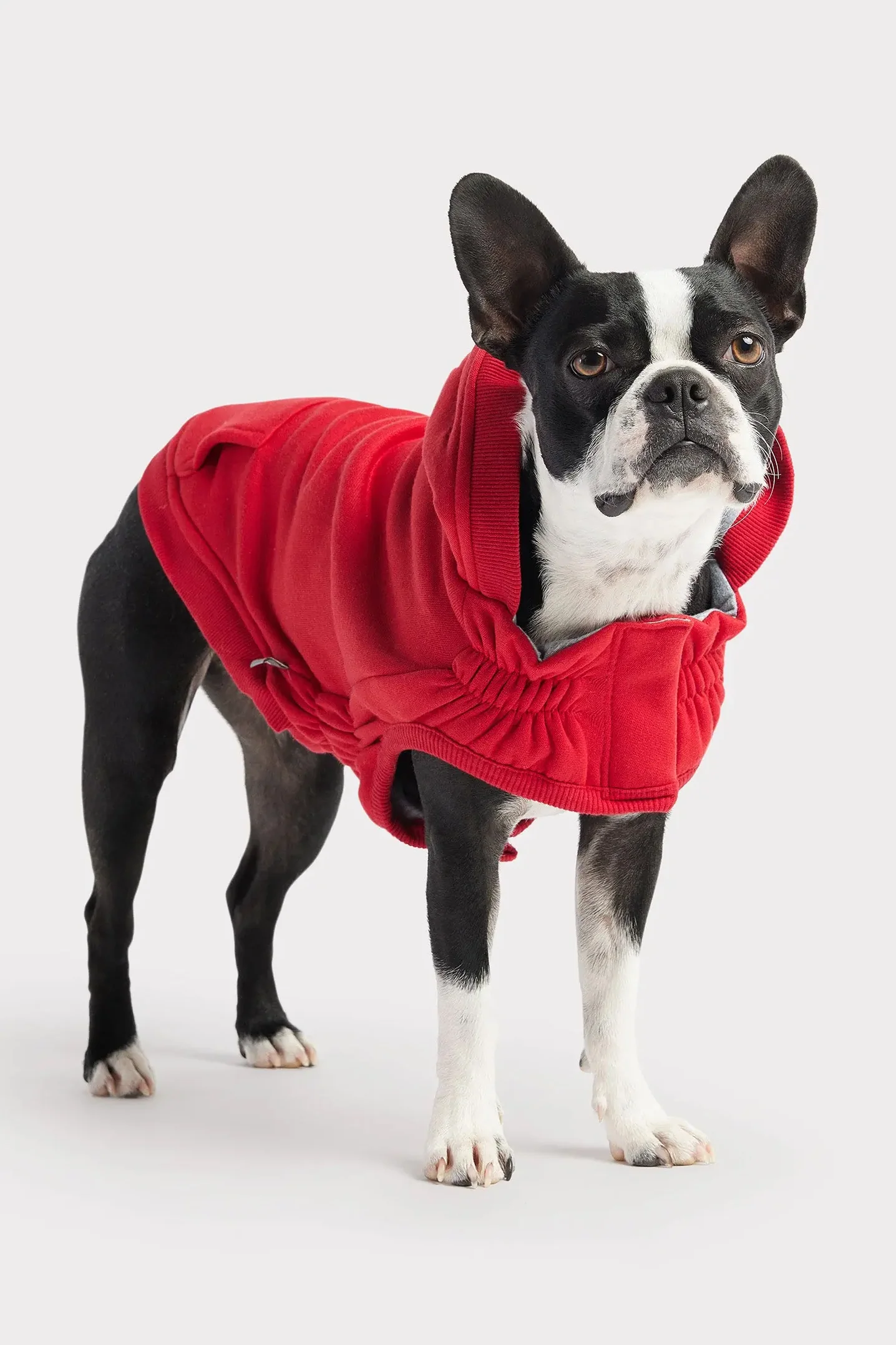 GF Pet Elasto-Fit Urban Red Dog Hoodie - Image 3