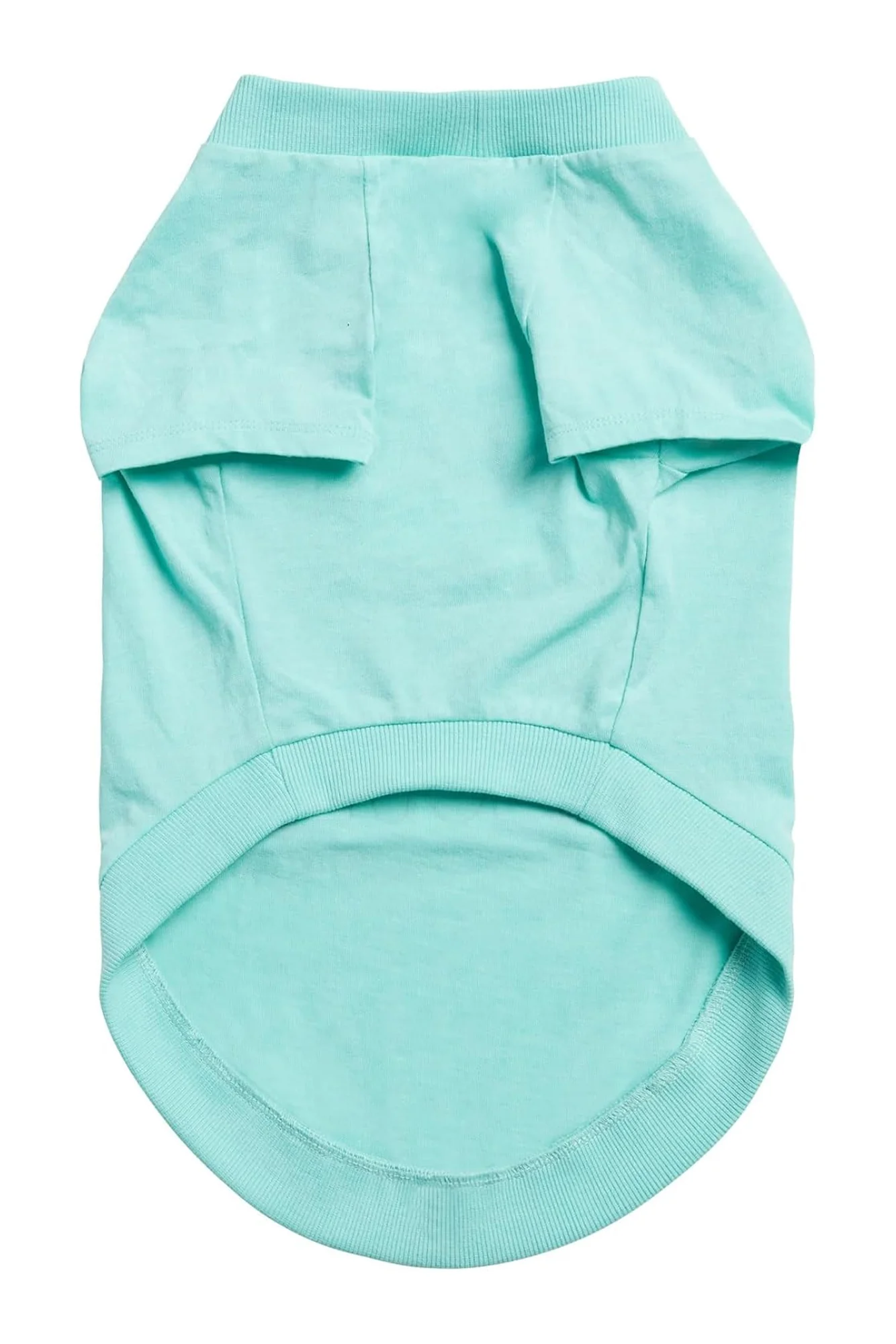 GF Pet Heather Aqua Graphic Tee - Image 2