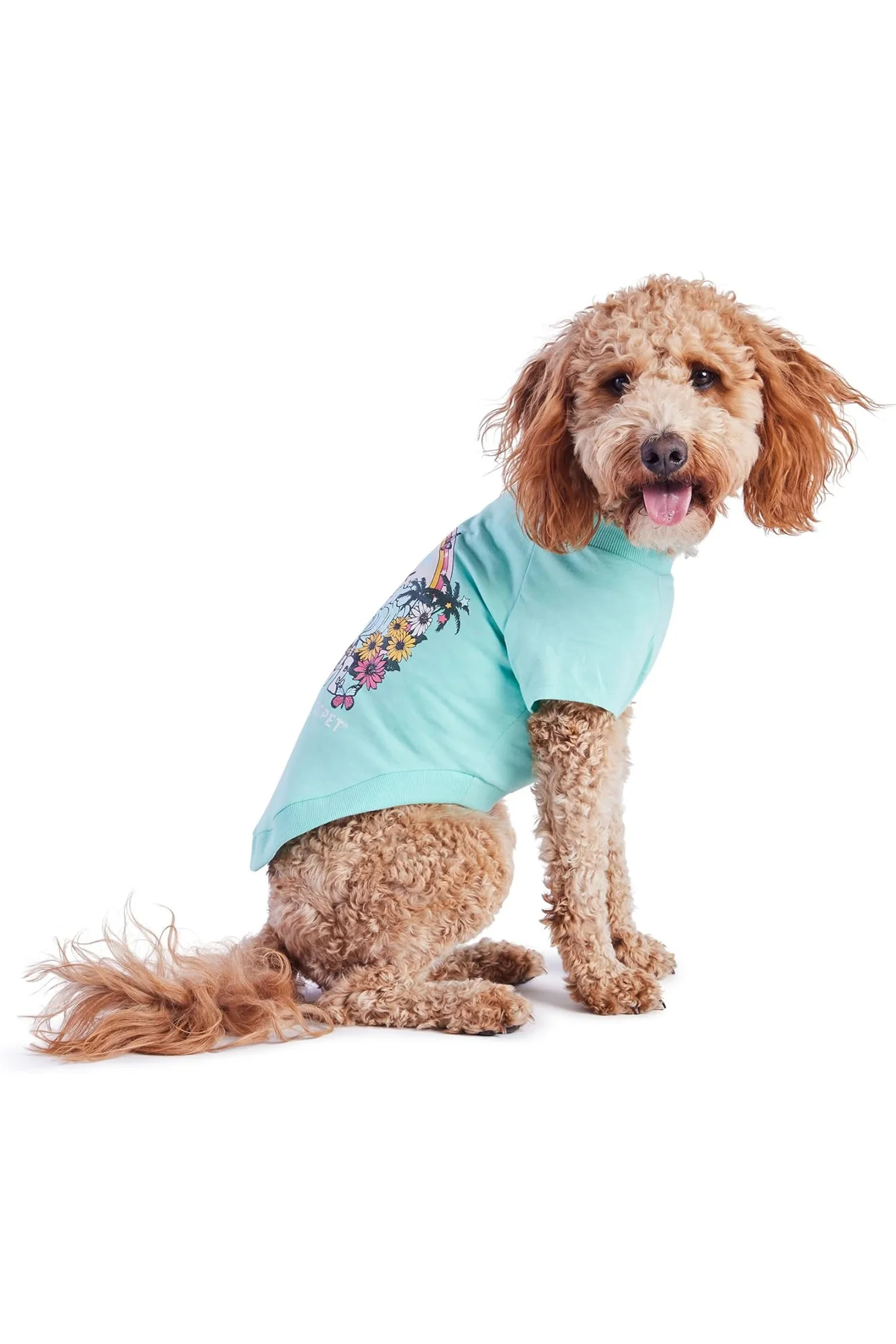 GF Pet Heather Aqua Graphic Tee - Image 3