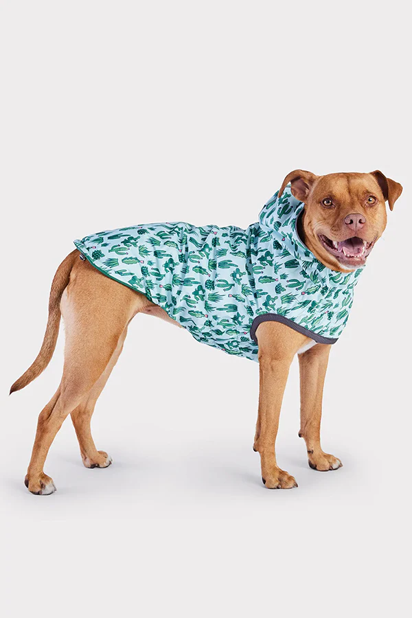 GF Pet Reversible Green Cactus Raincoat - Image 3