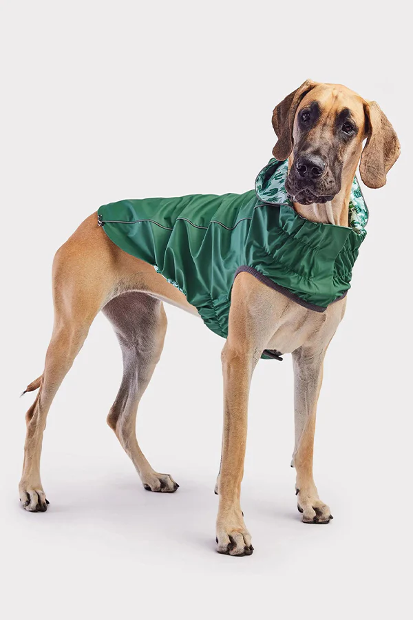 GF Pet Reversible Green Cactus Raincoat - Image 4
